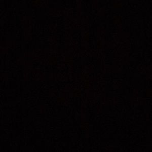 Meet your Posher, Fallon